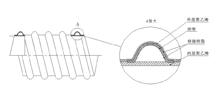 06-1.jpg